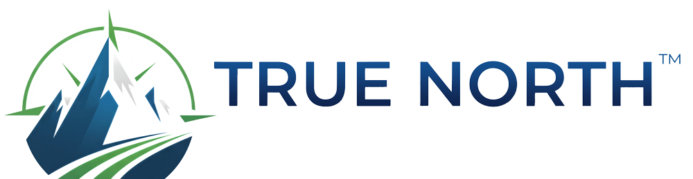 TrueNorth Processing